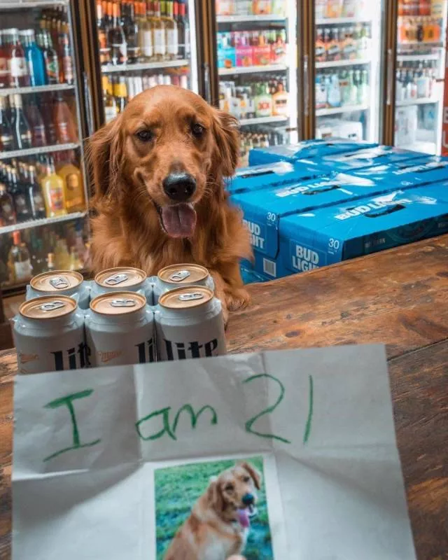 Picdump 492