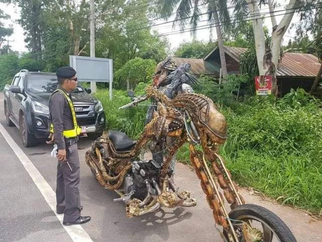 Picdump 492 - #20 