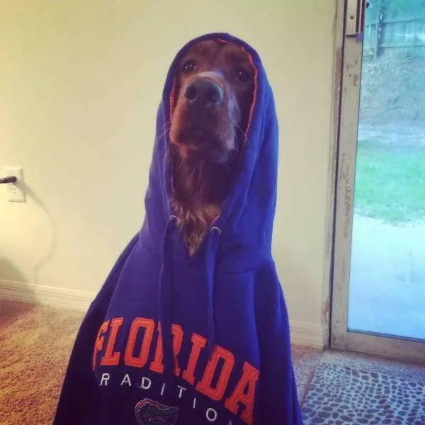 Picdump 492 - #32 
