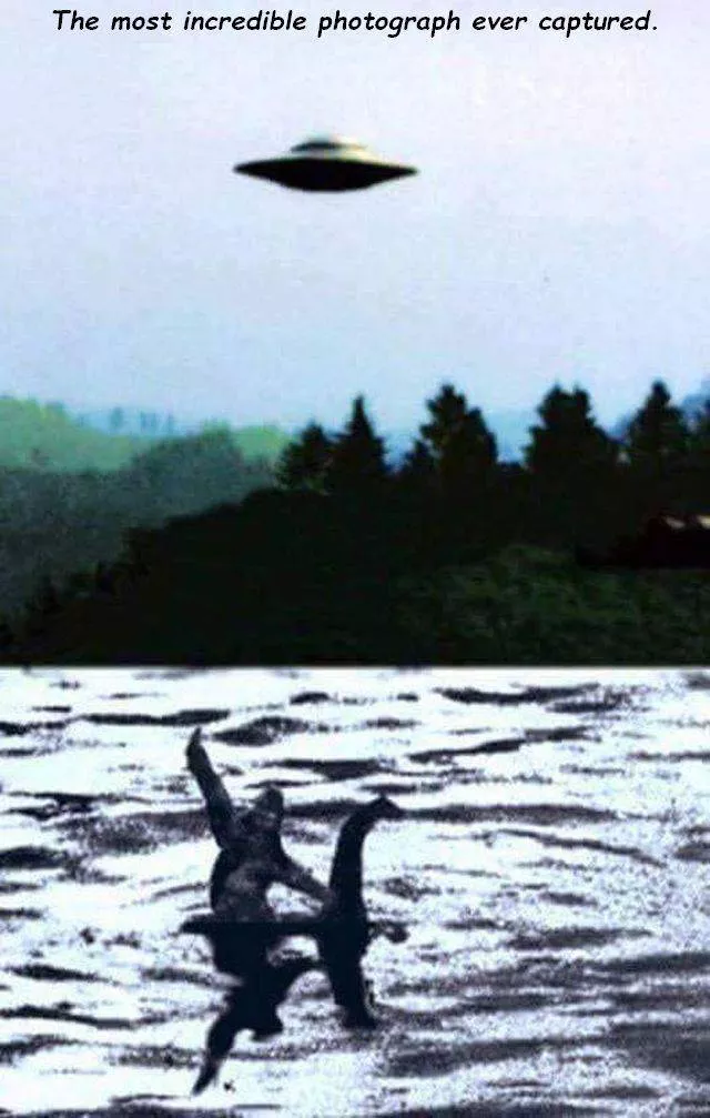 Picdump 492 - #44 