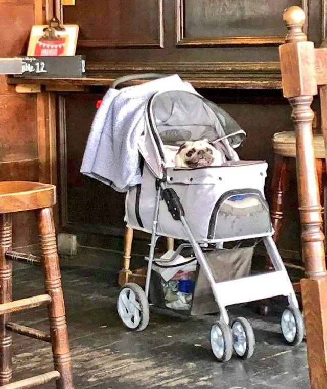 Picdump 492 - #8 