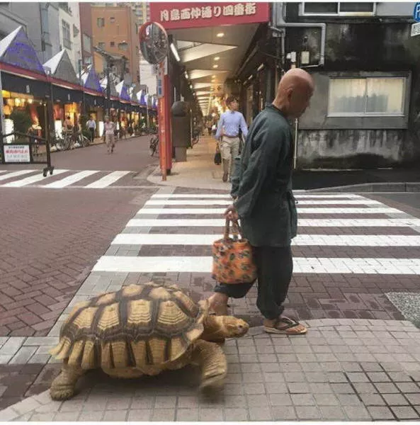 Weird things that only happen in asia - #4 