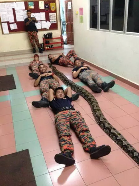 Weird things that only happen in asia - #5 