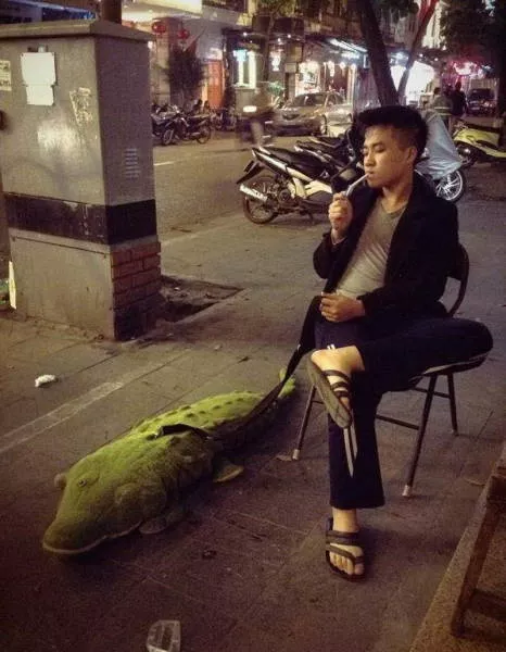 Weird things that only happen in asia - #55 
