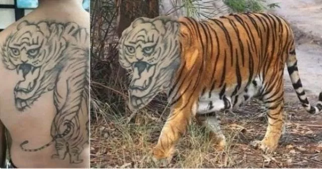 Incredible fails gathered in one album - #46 