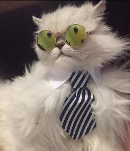 Picdump 493 - #52 