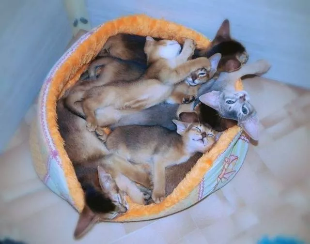 Picdump 494 - #45 