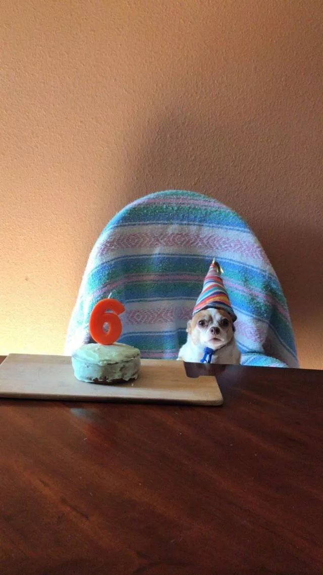 Picdump 494 - #58 