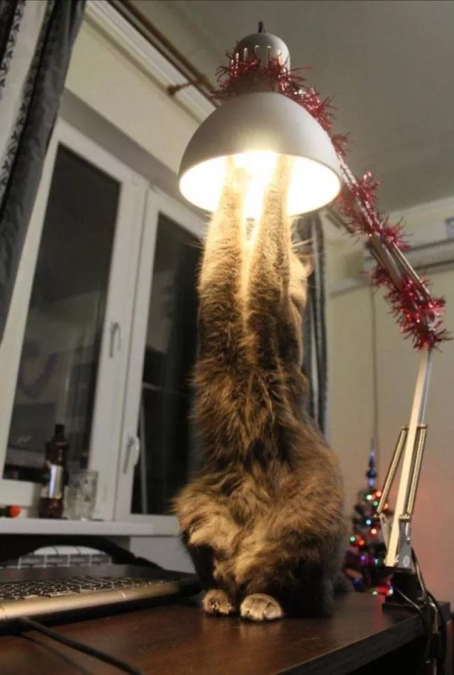 Picdump 494 - #6 