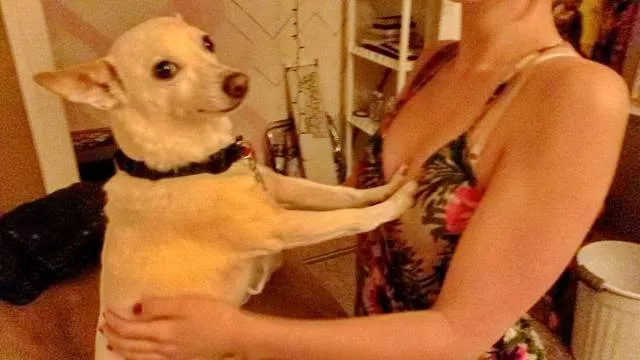 Picdump 494 - #61 