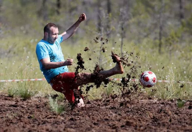 Picdump 494 - #79 