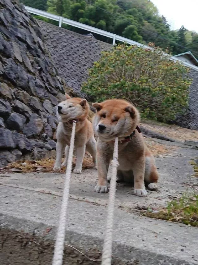Picdump 494 - #89 