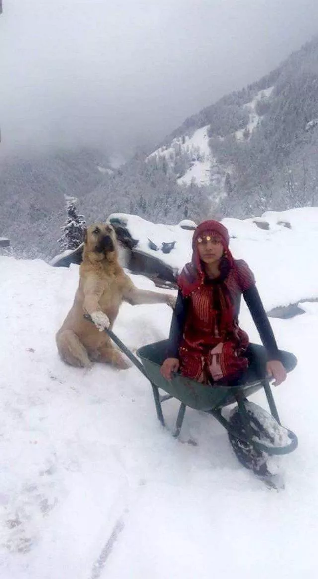 Picdump 494 - #92 