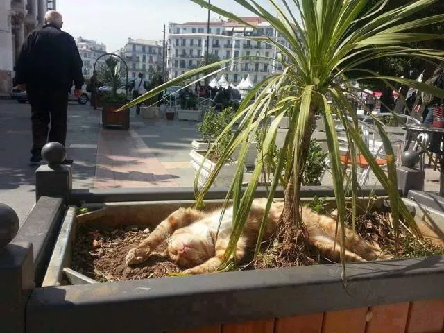 Picdump 494 - #93 