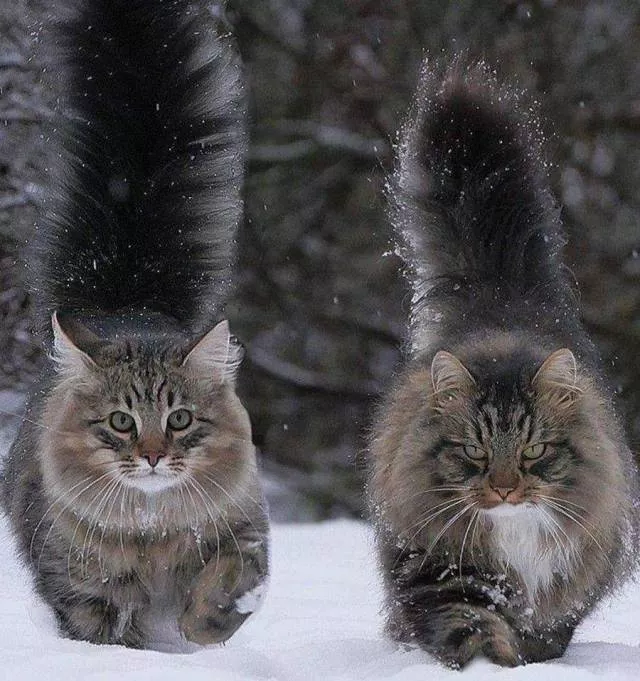 Picdump 494 - #94 