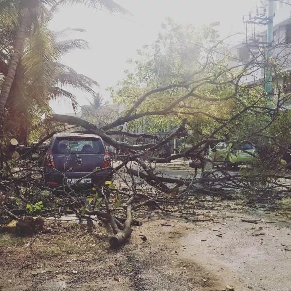 The correct definition of a bad day - #25 