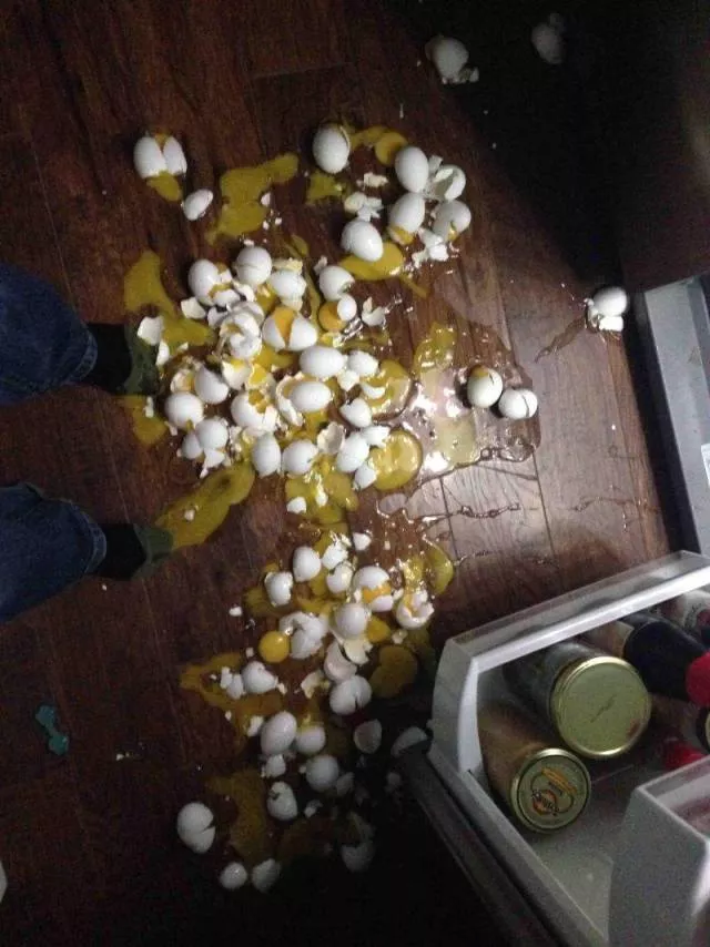 The correct definition of a bad day - #35 