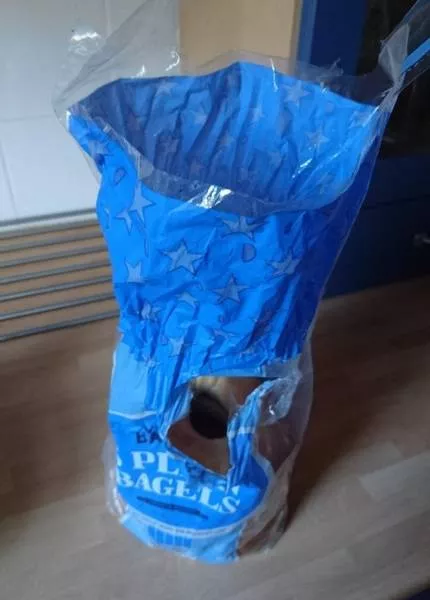 The worst photos of the moment - #26 