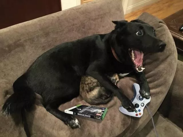 Picdump 495 - #14 