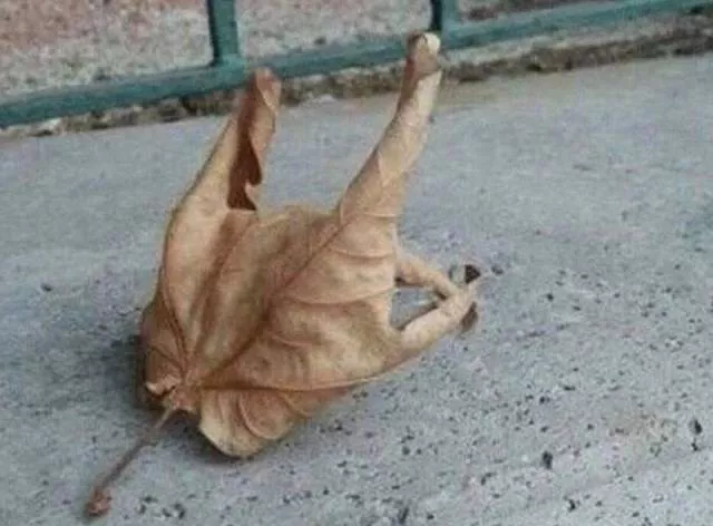 Picdump 495 - #2 