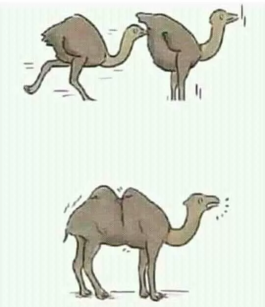 Picdump 495 - #38 