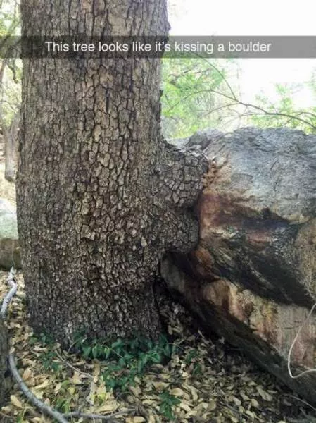Picdump 84 - #10 