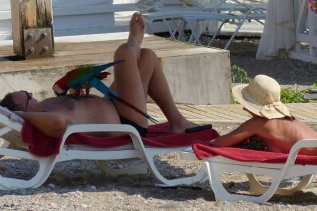 Picdump 84 - #15 