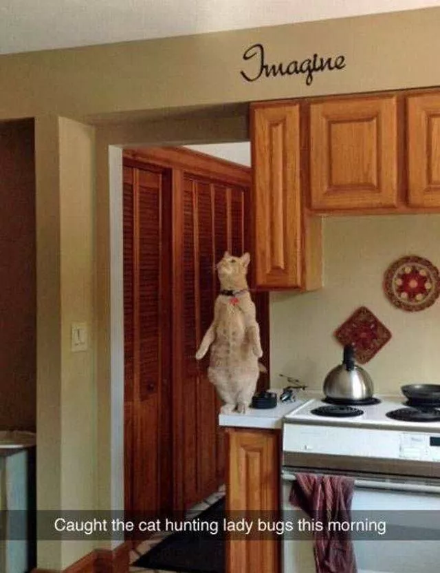 Picdump 84 - #27 