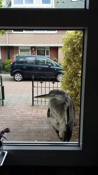 Picdump 84 - #47 