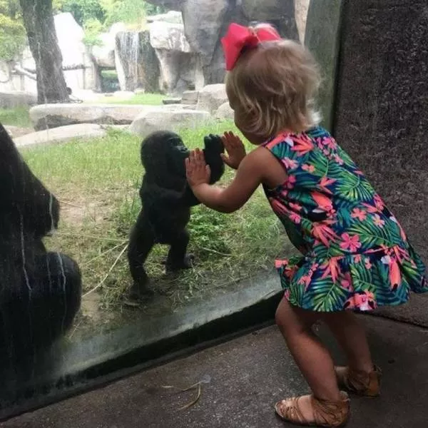 Picdump 84 - #50 