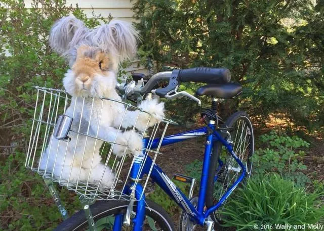 Picdump 84 - #55 