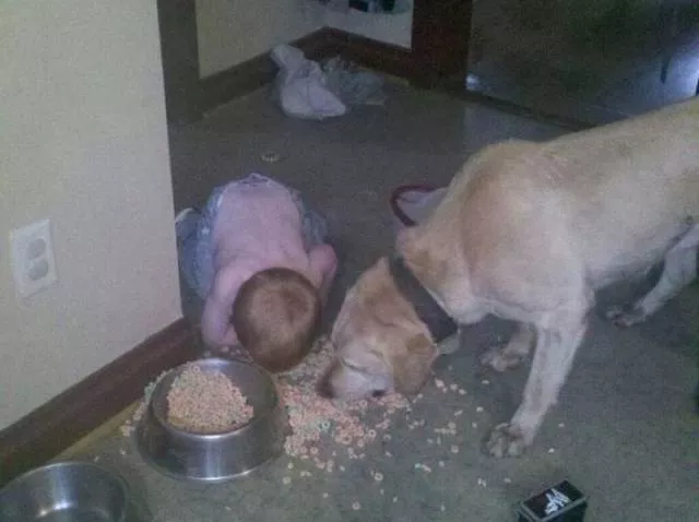 Picdump 84 - #61 