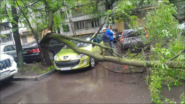 Picdump 84 - #8 