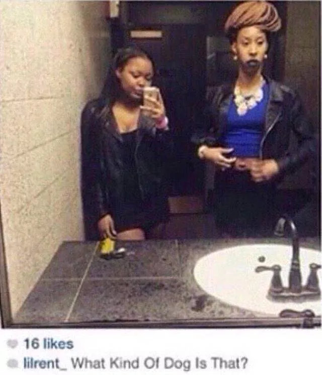 Picdump 496 - #13 