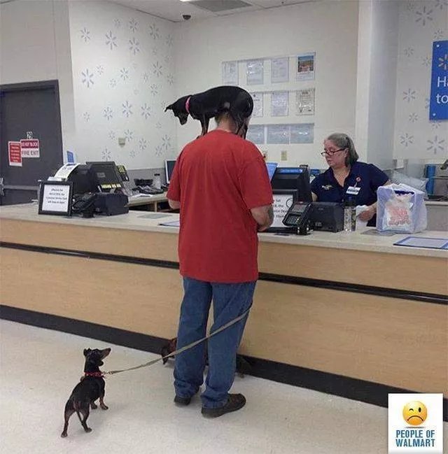 Pourquoi ca narrive qua walmart  - #47 