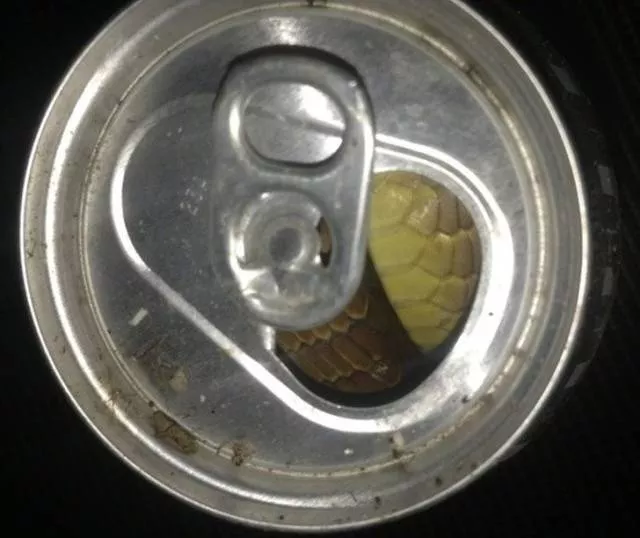 Terribly terrible the worst of the worst - #15 