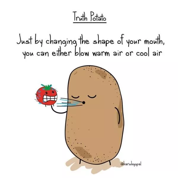 The most realistic potato ever seen - #23 The most realistic potato ever seen - #23