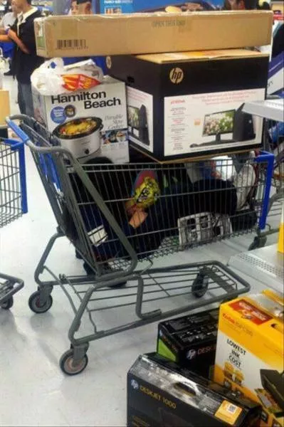 Picdump 497 - #36 