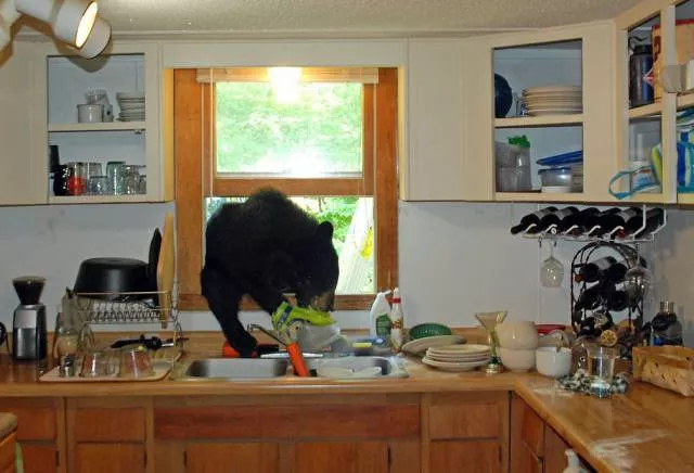 Picdump 85 - #2 