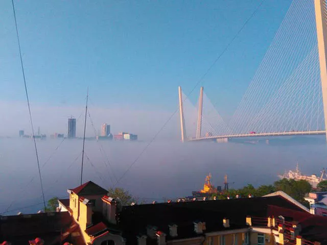 Picdump 85 - #20 