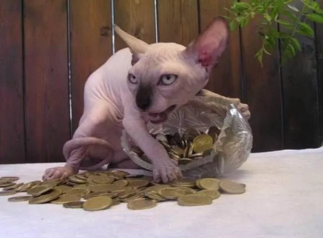 Picdump 85 - #38 