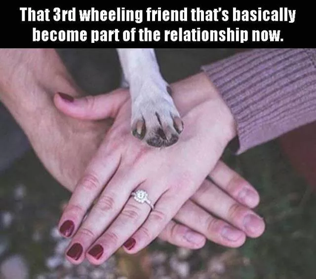 Picdump 85 - #50 