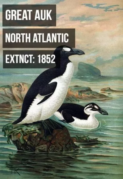 Rarest animals - #8 