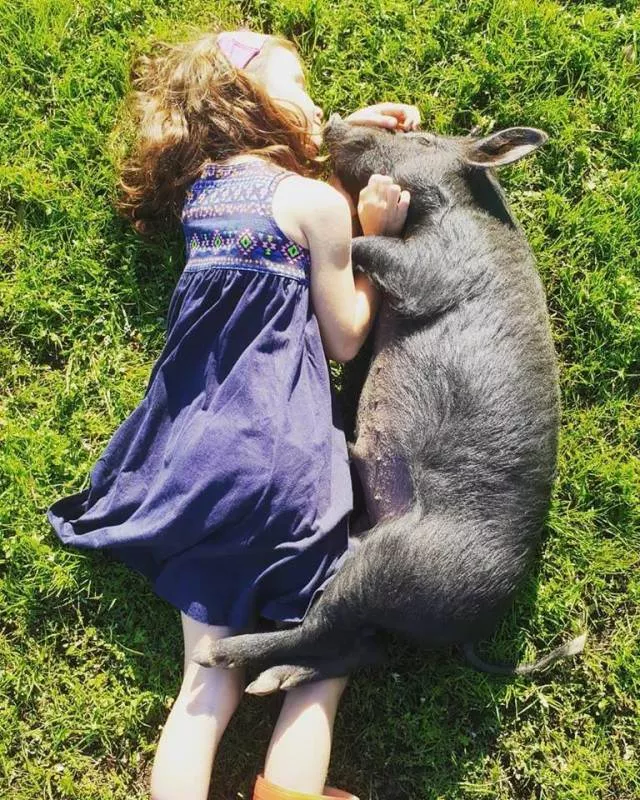 Images with 1000 senses and feelings - #16 