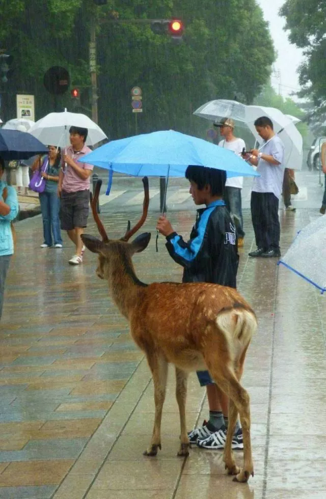 Images with 1000 senses and feelings - #2 