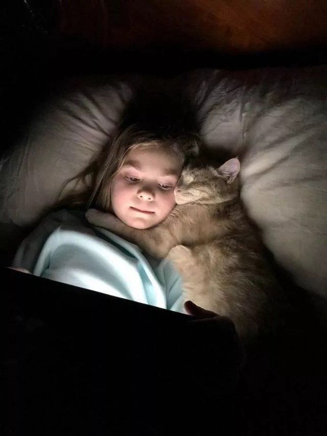 Des images a 1000 sens et sentiments - #3 
