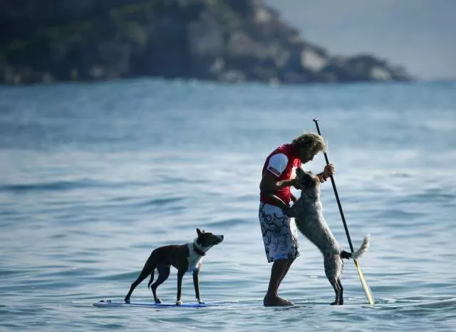 Des images a 1000 sens et sentiments - #37 