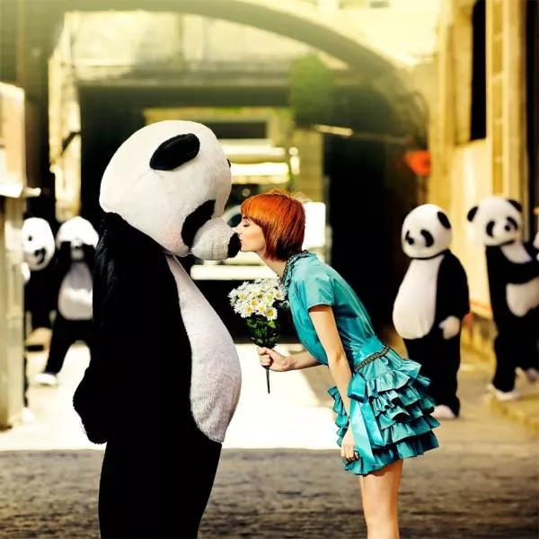 Des images a 1000 sens et sentiments - #39 