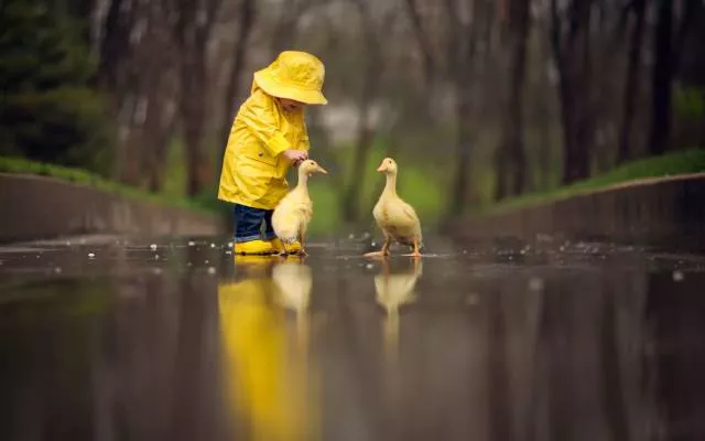 Des images a 1000 sens et sentiments - #58 