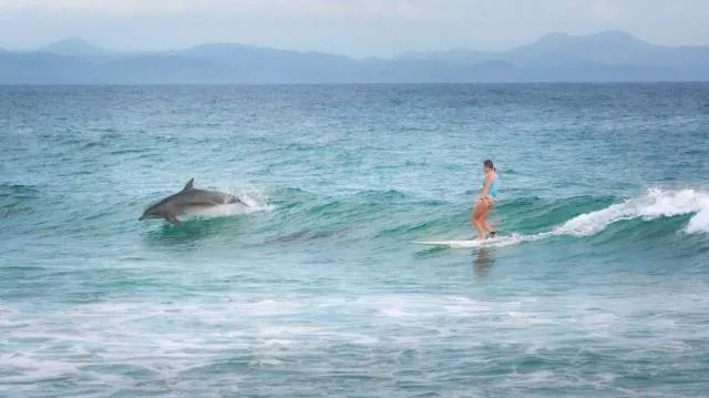 Images with 1000 senses and feelings - #61  Images with 1000 senses and feelings - #61